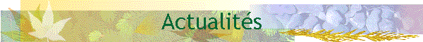 Les rendez-vous