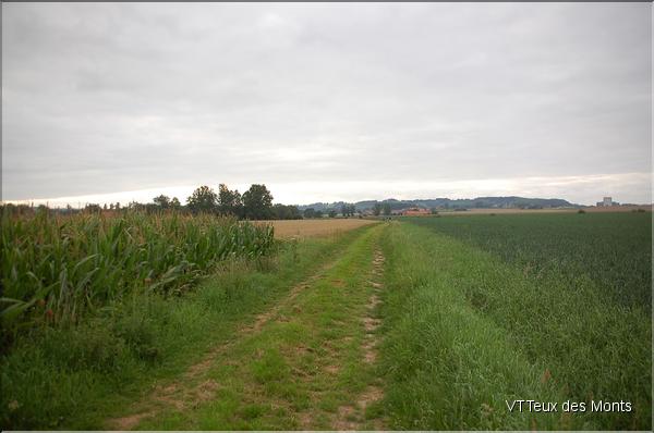 DSC_2498s