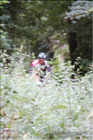 DSC_2627s