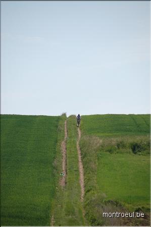 DSC_2629